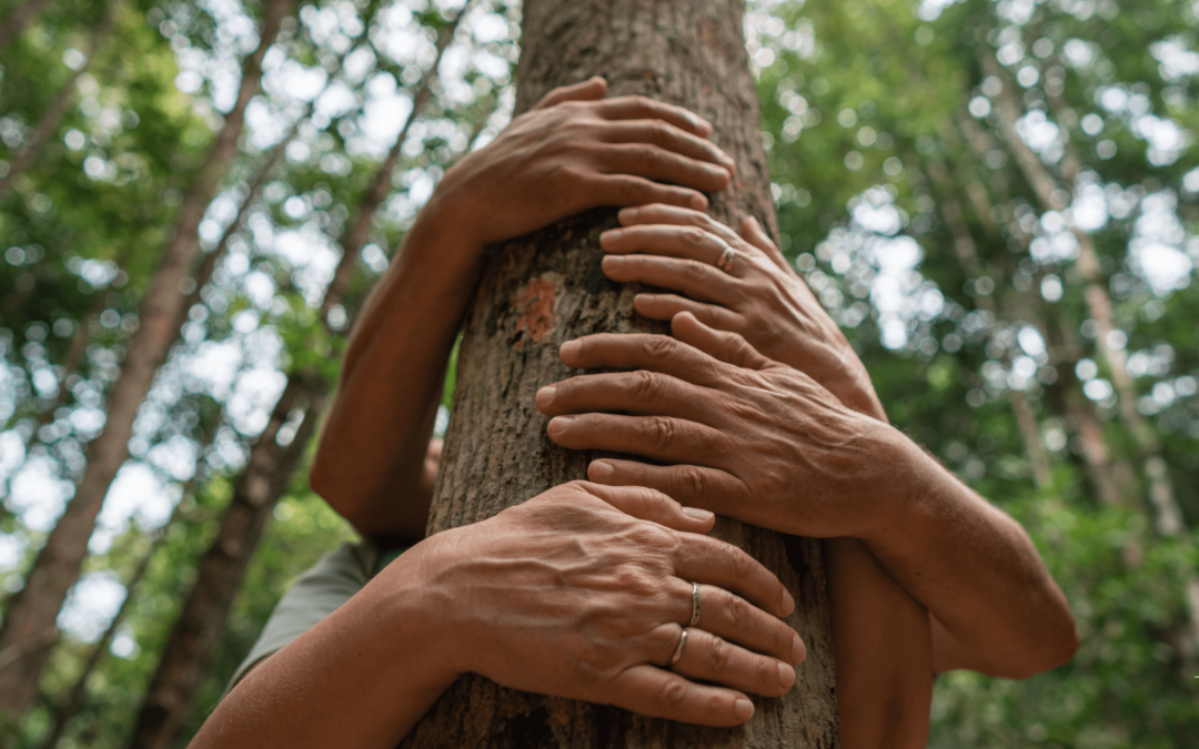 10 formas de conectar con la naturaleza en verano