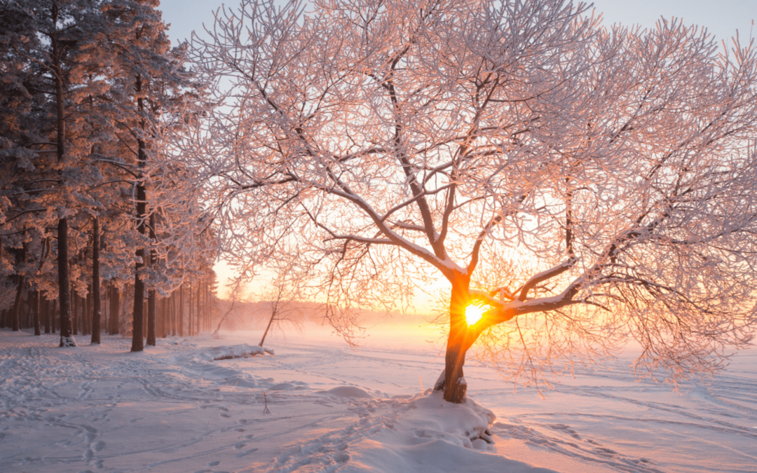 9 formas de conectar con la naturaleza en invierno