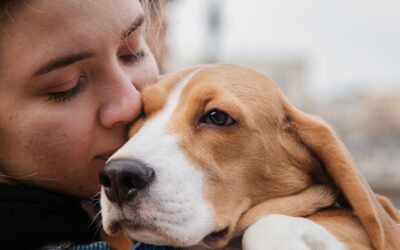 El vínculo único entre personas y animales: Un amor que va más allá